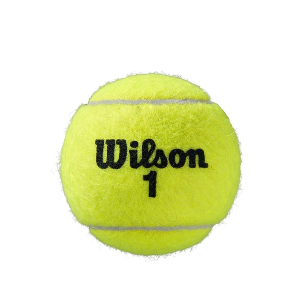 Pelotas de Tenis Wilson Roland Garros x3
