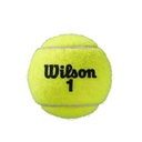 Pelotas de Tenis Wilson Roland Garros x3