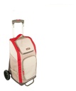 Maleta para Picnic Campingaz con Nevera