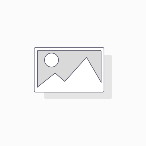 [2063275] Plumígrafo Flair Paper Mate Med Negro Tx12